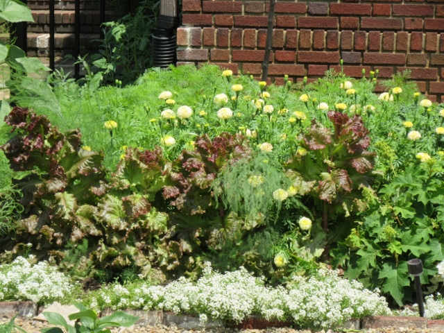 flowers vegs.jpg